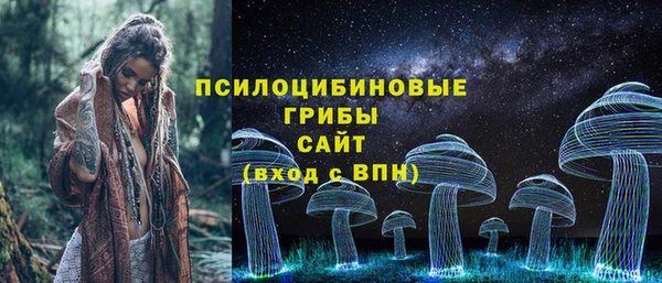 Альфа ПВП Аркадак
