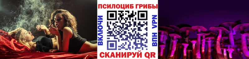 Купить закладки  Меленки  Псилоцибиновые грибы ЛСД 
